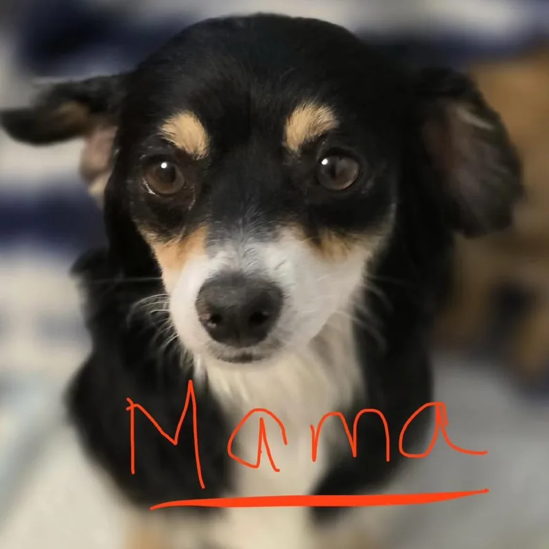 Bonnie thumbnail 2