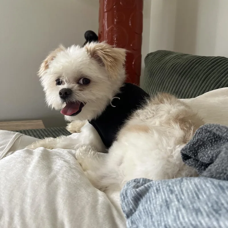 Franklin thumbnail 6