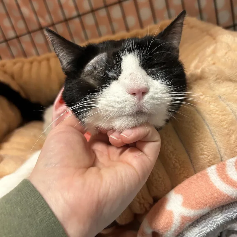 Precious thumbnail 2