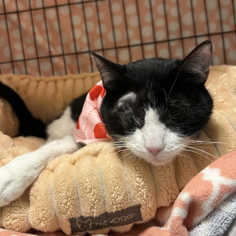 Precious thumbnail 3