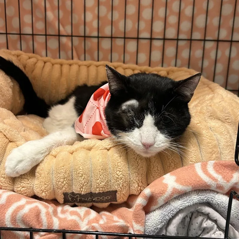 Precious thumbnail 4