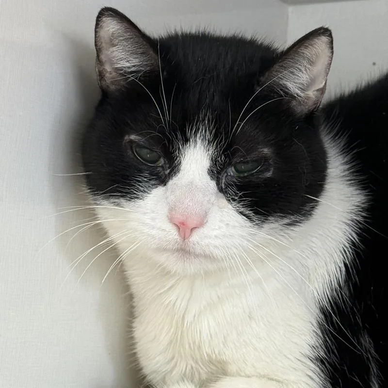 Precious thumbnail 5