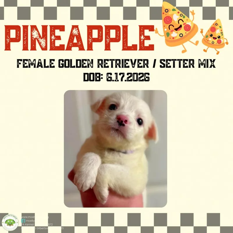 Pineapple