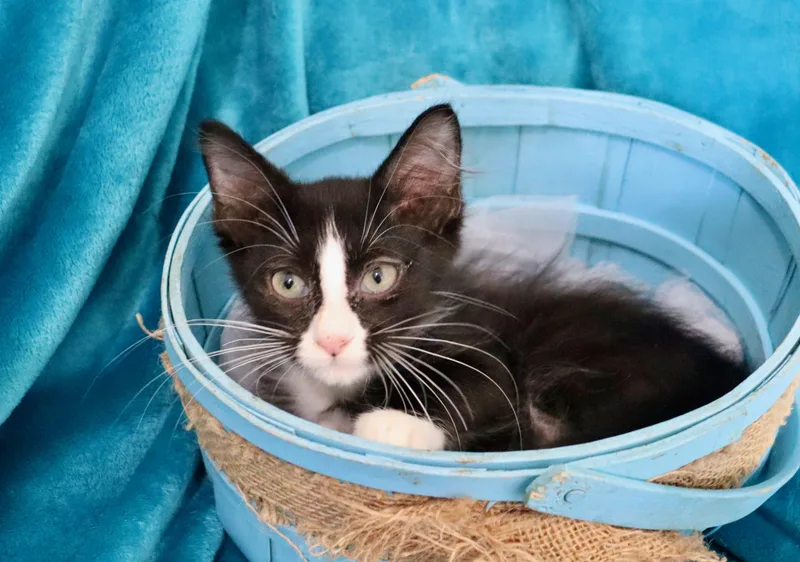 Markus thumbnail 4