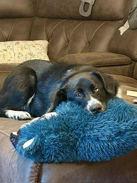 Ellie