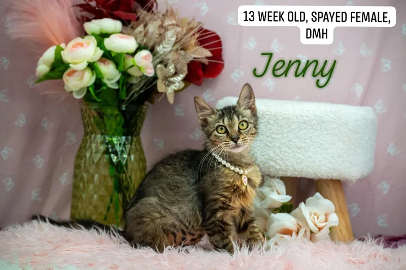 Jenny thumbnail 4