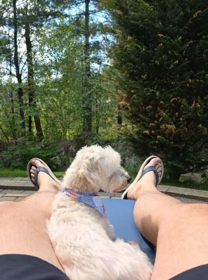 Simba thumbnail 2