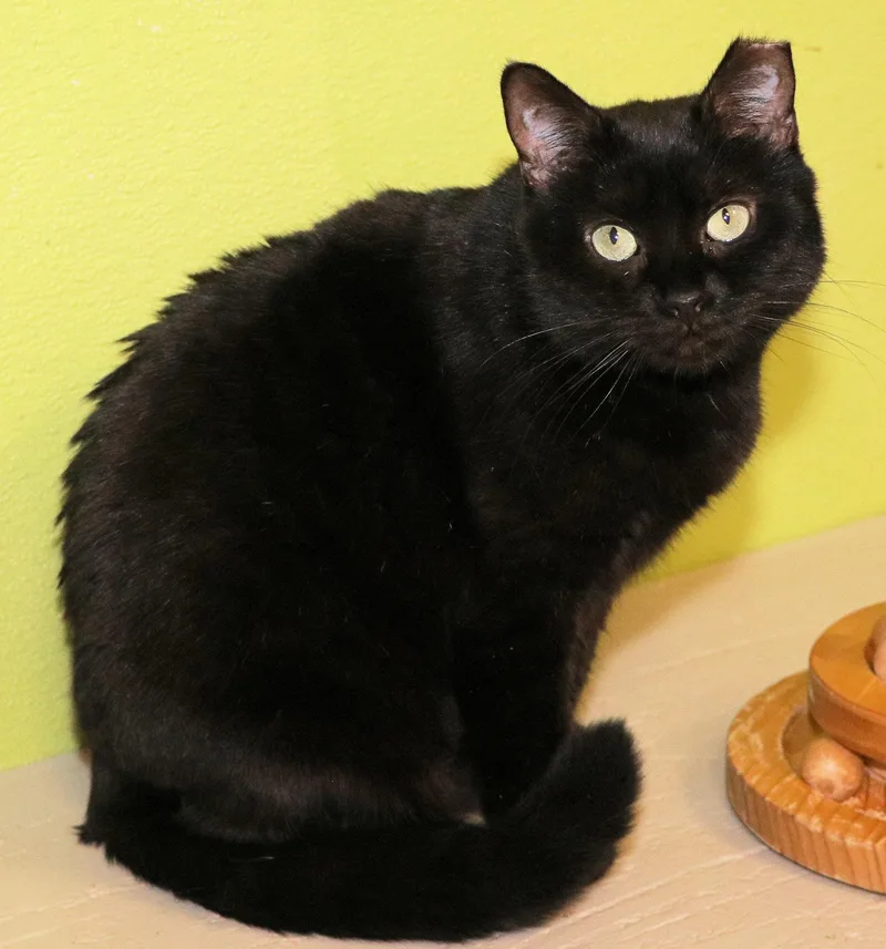 Mercedes thumbnail 2