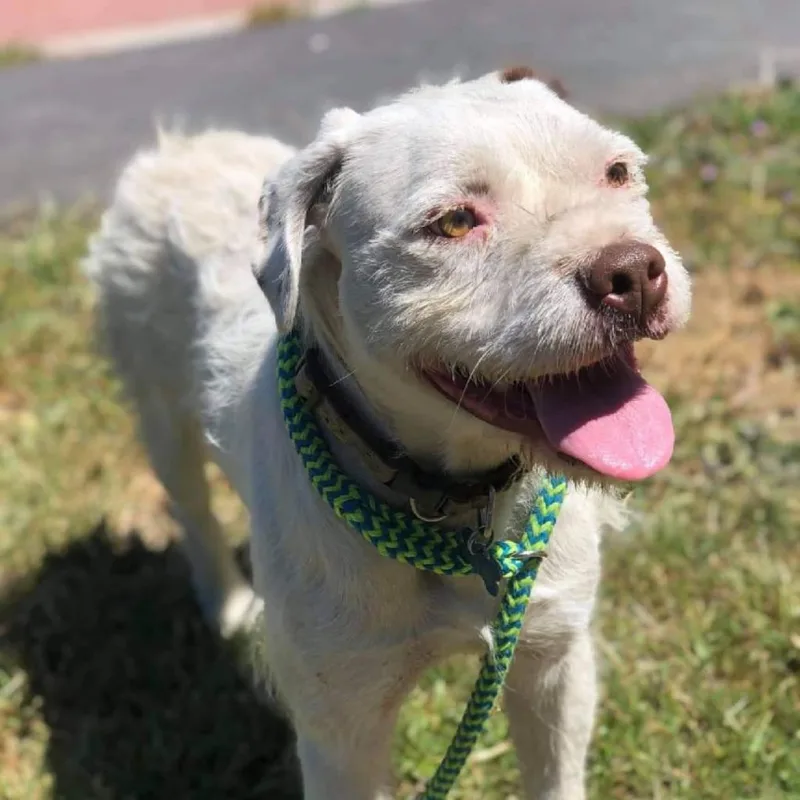 Kirby David thumbnail 2