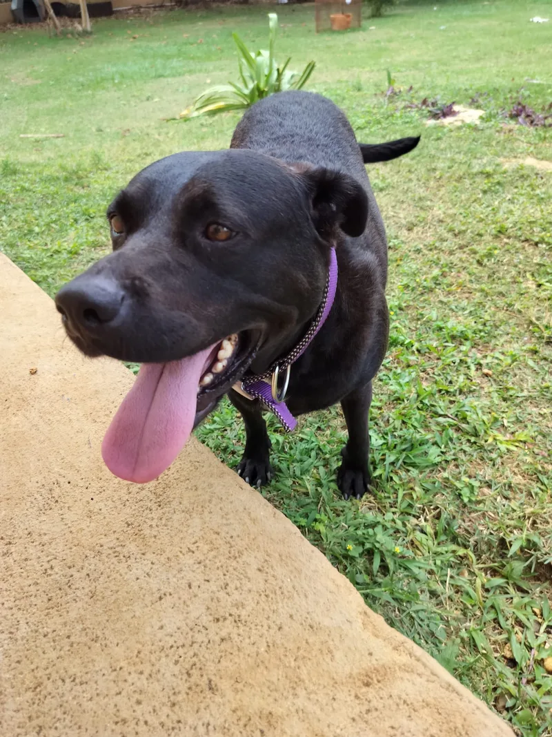 Ebony " Only Love." thumbnail 2