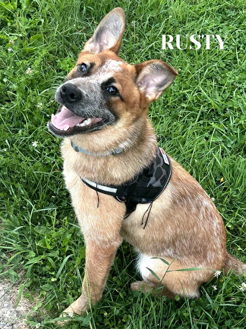 Rusty