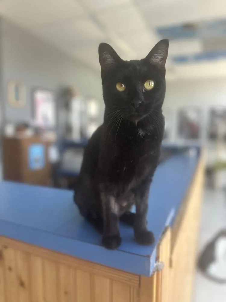 Pantalones Aka Carrillon