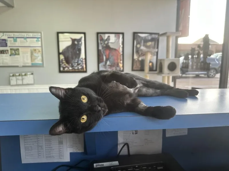 Pantalones Aka Carrillon thumbnail 4