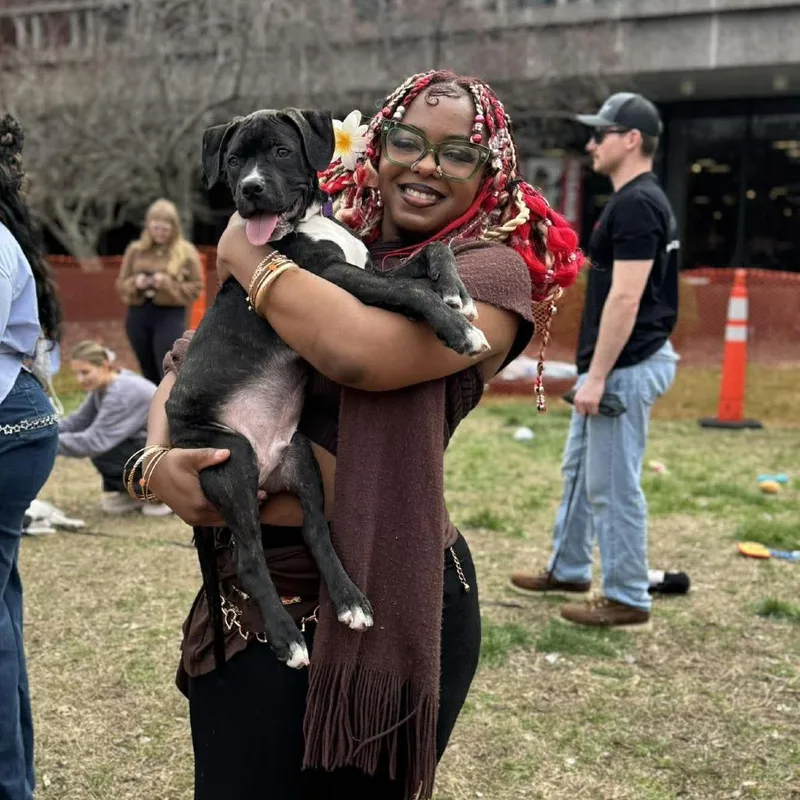 Cherry Pie thumbnail 2