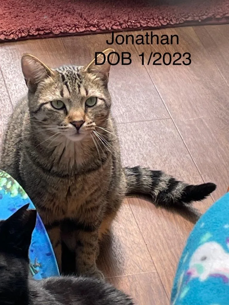 Jonathan thumbnail 2