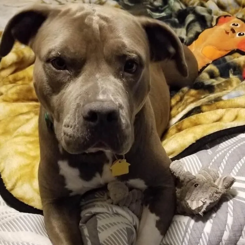 Mama Journey thumbnail 2