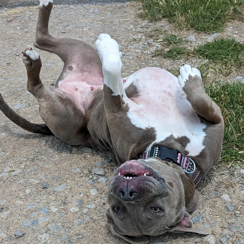 Mama Journey thumbnail 3