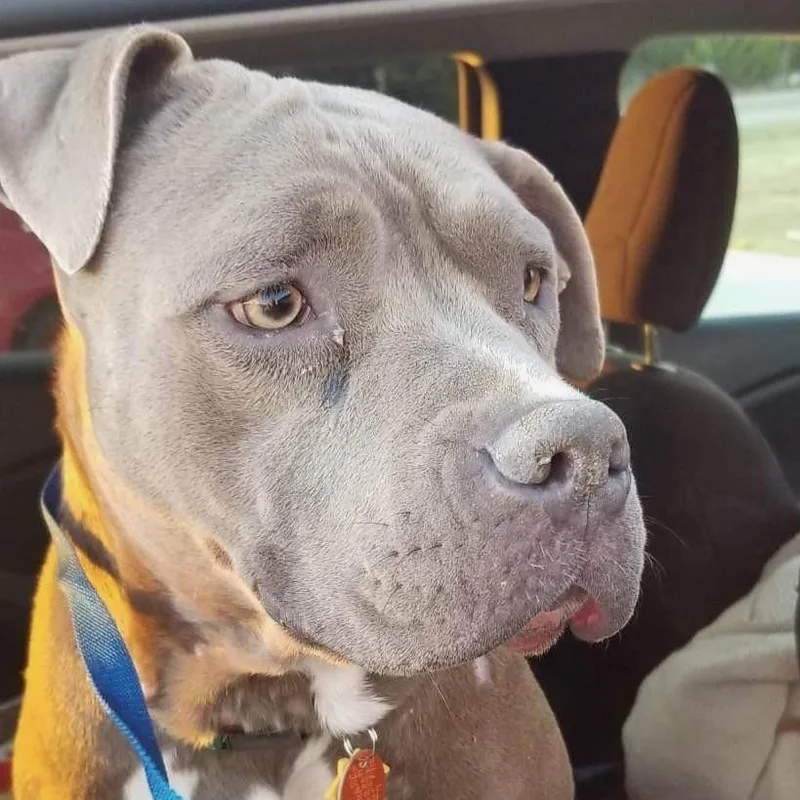 Mama Journey thumbnail 4