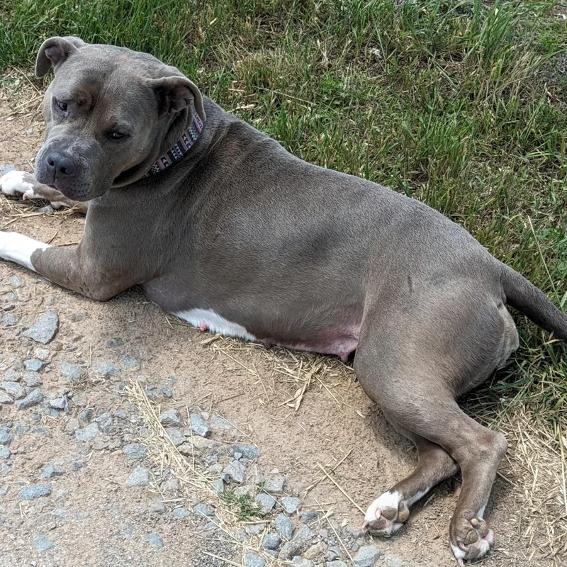 Mama Journey thumbnail 5