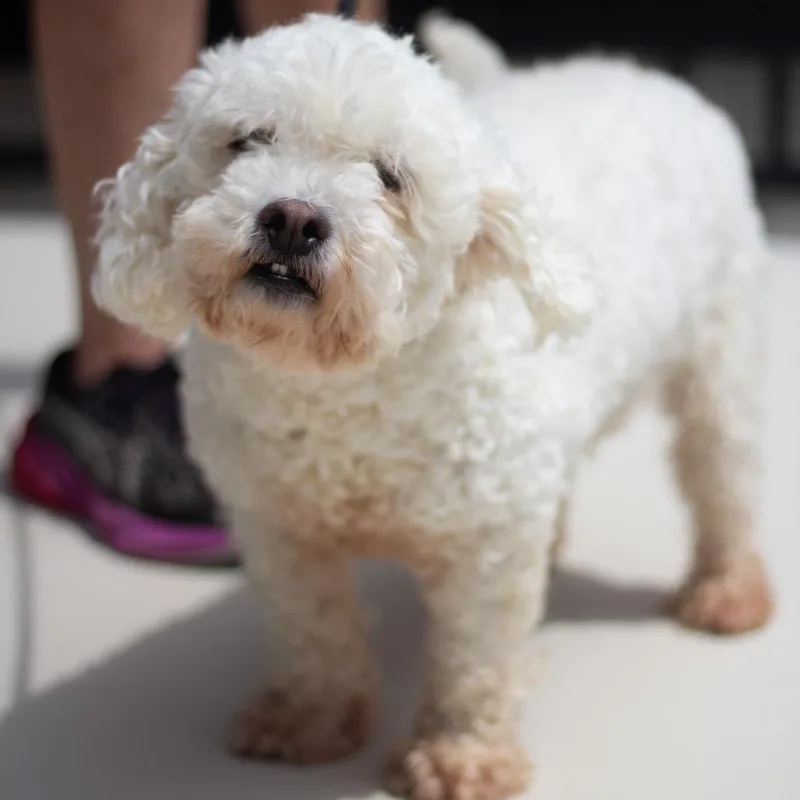 Mylo thumbnail 2