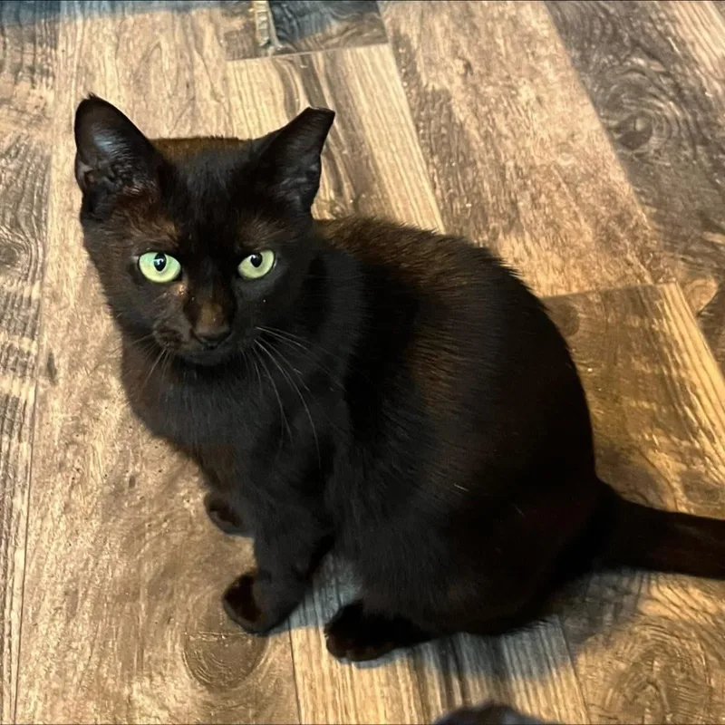 Lil Mama thumbnail 2