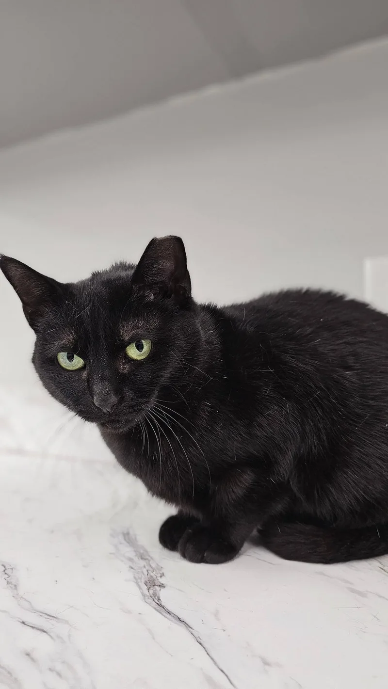 Lil Mama thumbnail 4