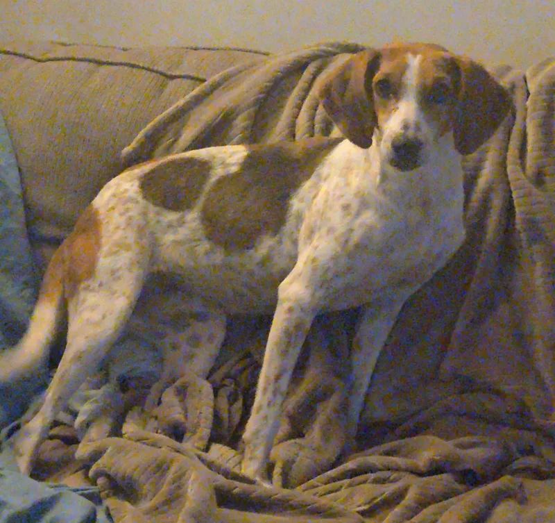 Darla thumbnail 2