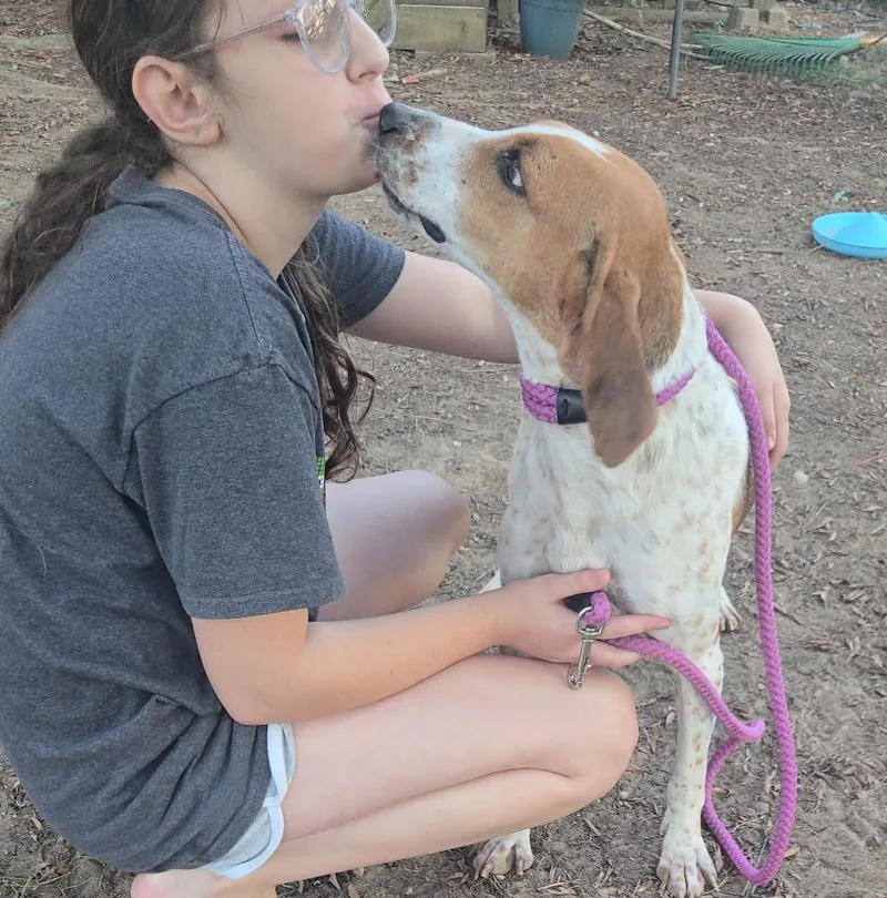 Darla thumbnail 3