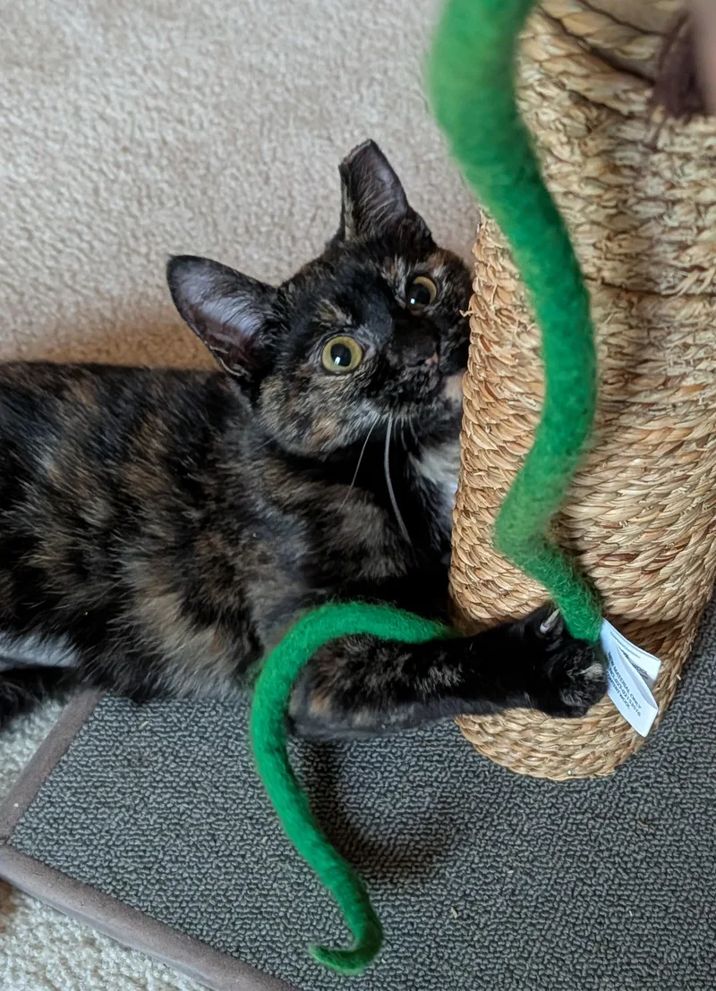 Meg Ryan thumbnail 3