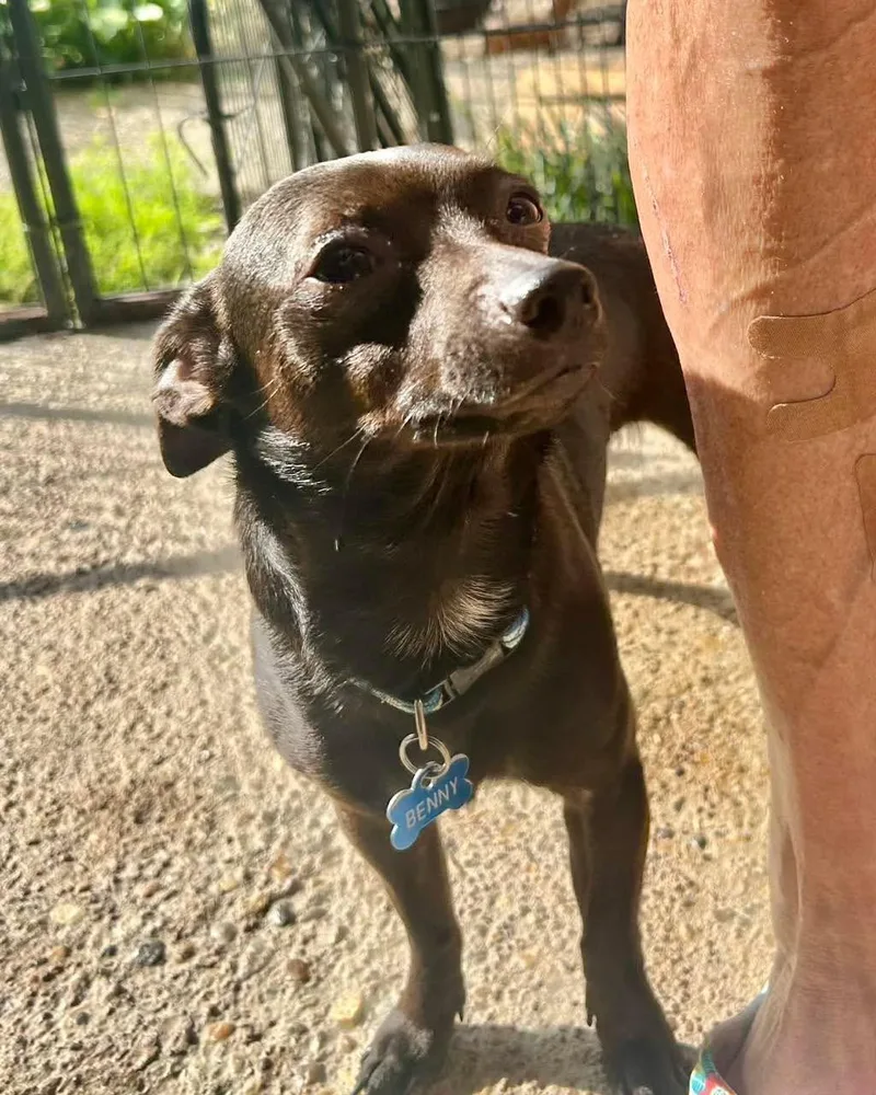 Paco thumbnail 3