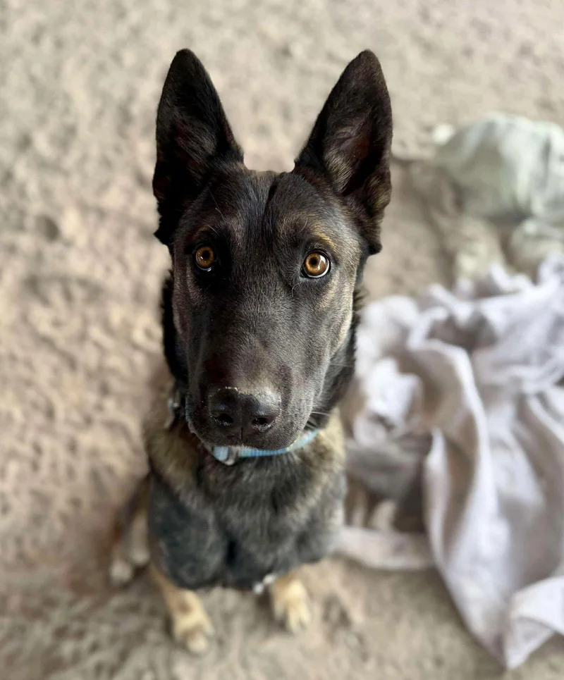 Espresso thumbnail 3