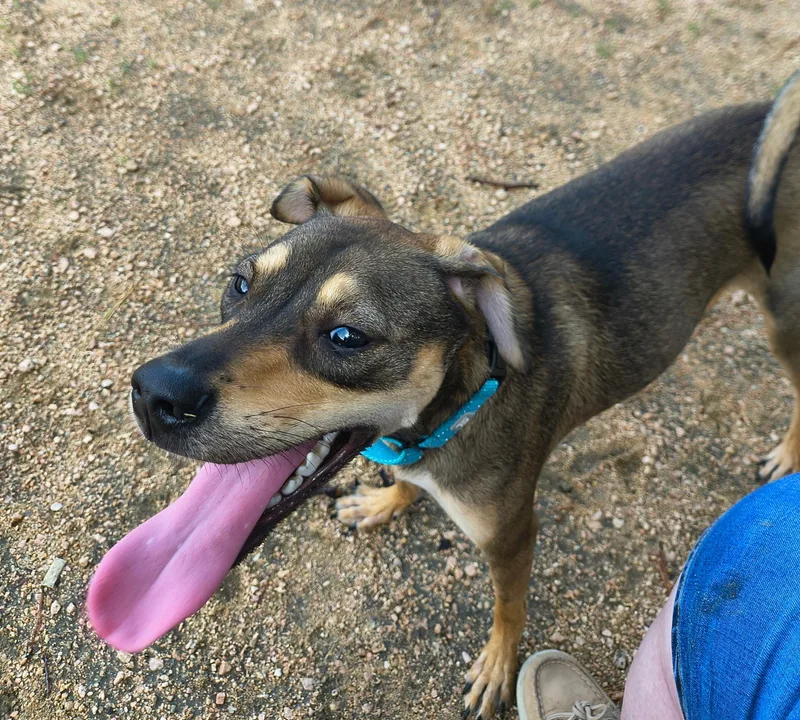 John Boy thumbnail 4