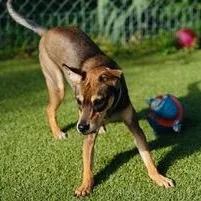 John Boy thumbnail 5