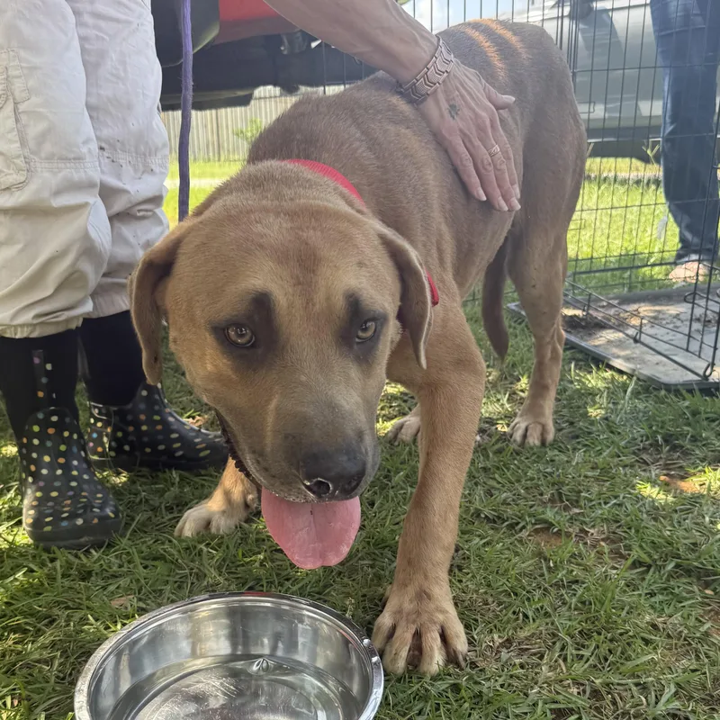 Kai thumbnail 4