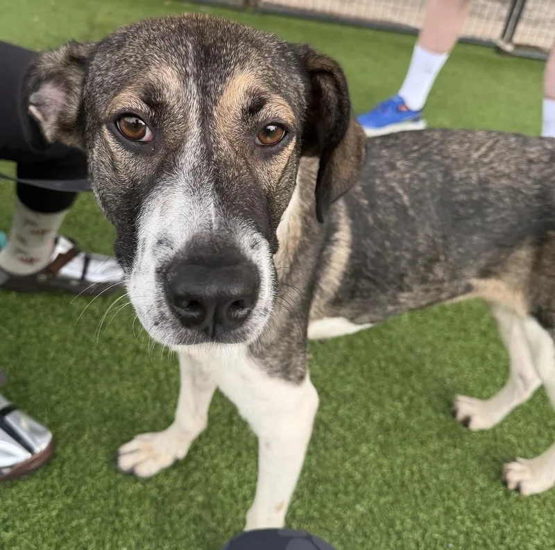 Genevieve thumbnail 2