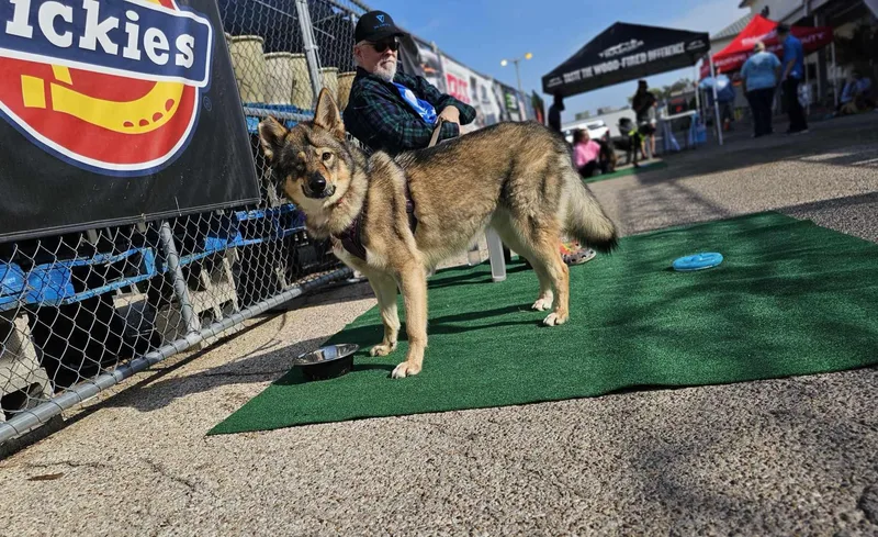 Penelope thumbnail 3