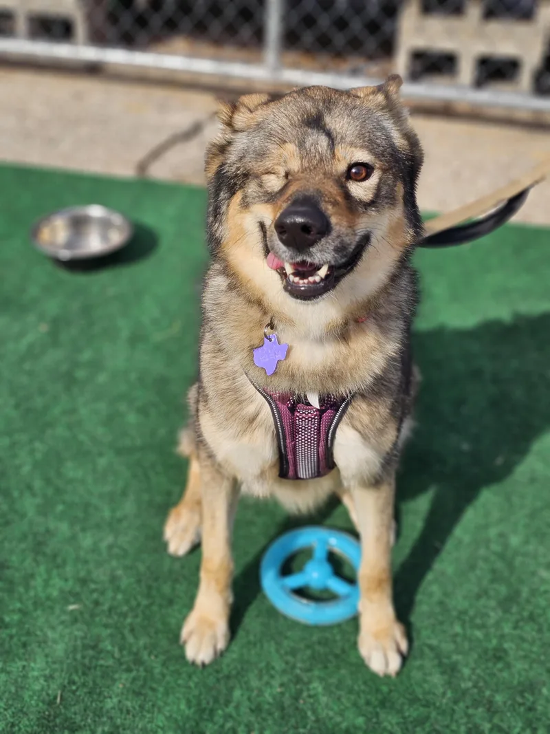 Penelope thumbnail 6