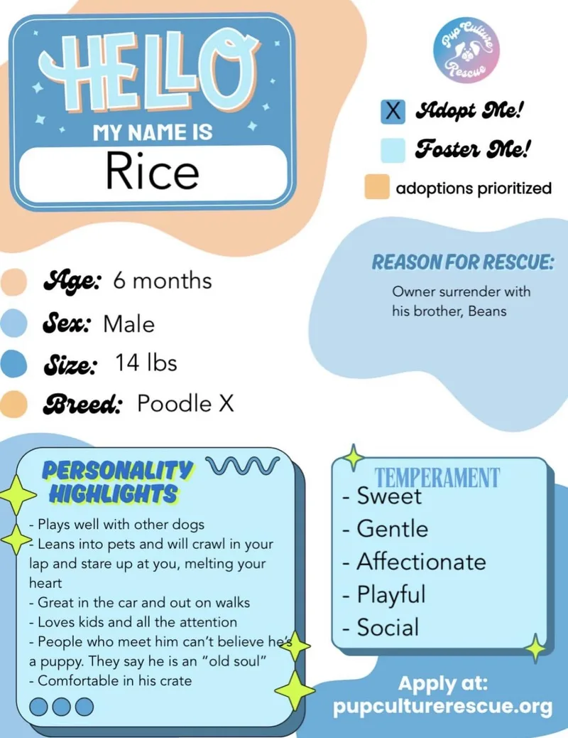 Rice thumbnail 3