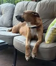Tippy thumbnail 3