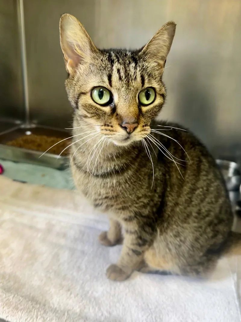 Skittles thumbnail 2