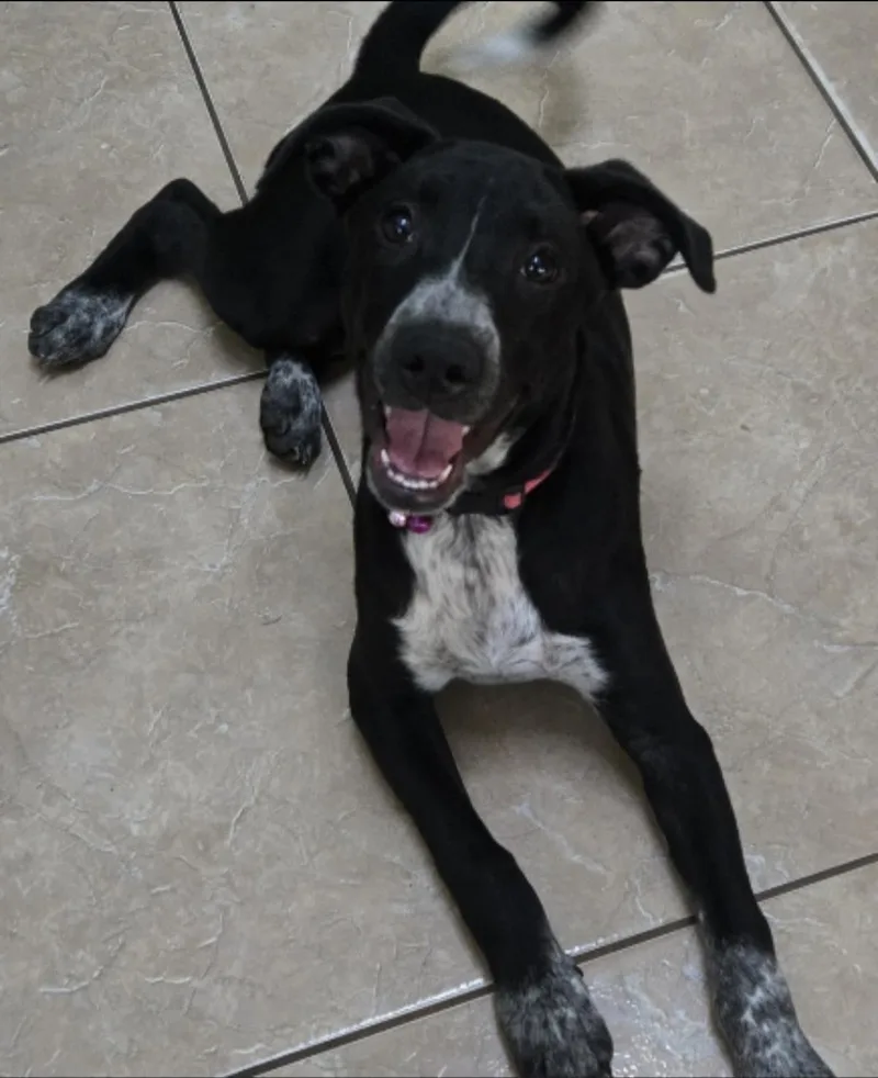 Josie thumbnail 2