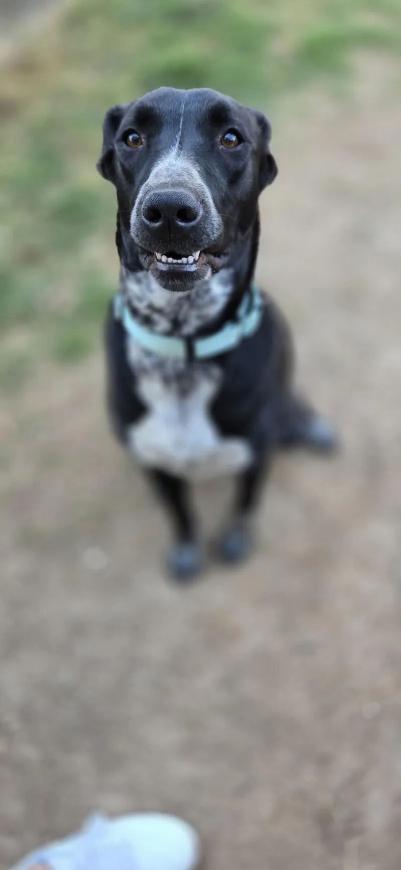 Josie thumbnail 4