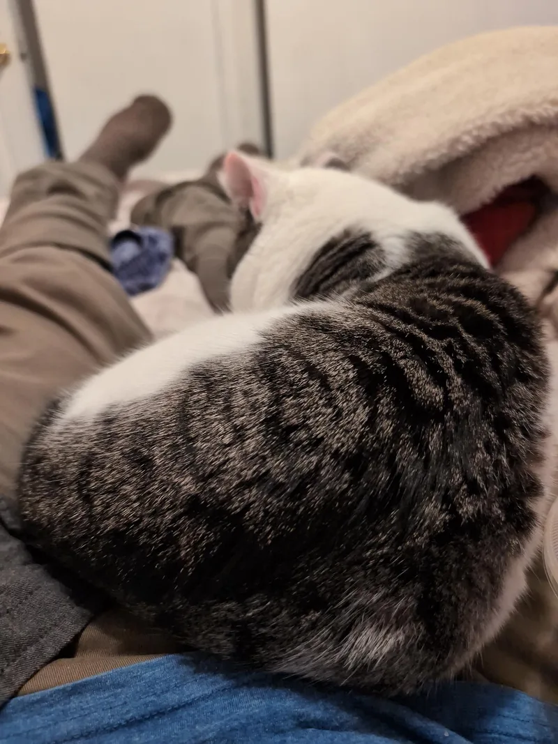 Zephyr Ludlow thumbnail 2