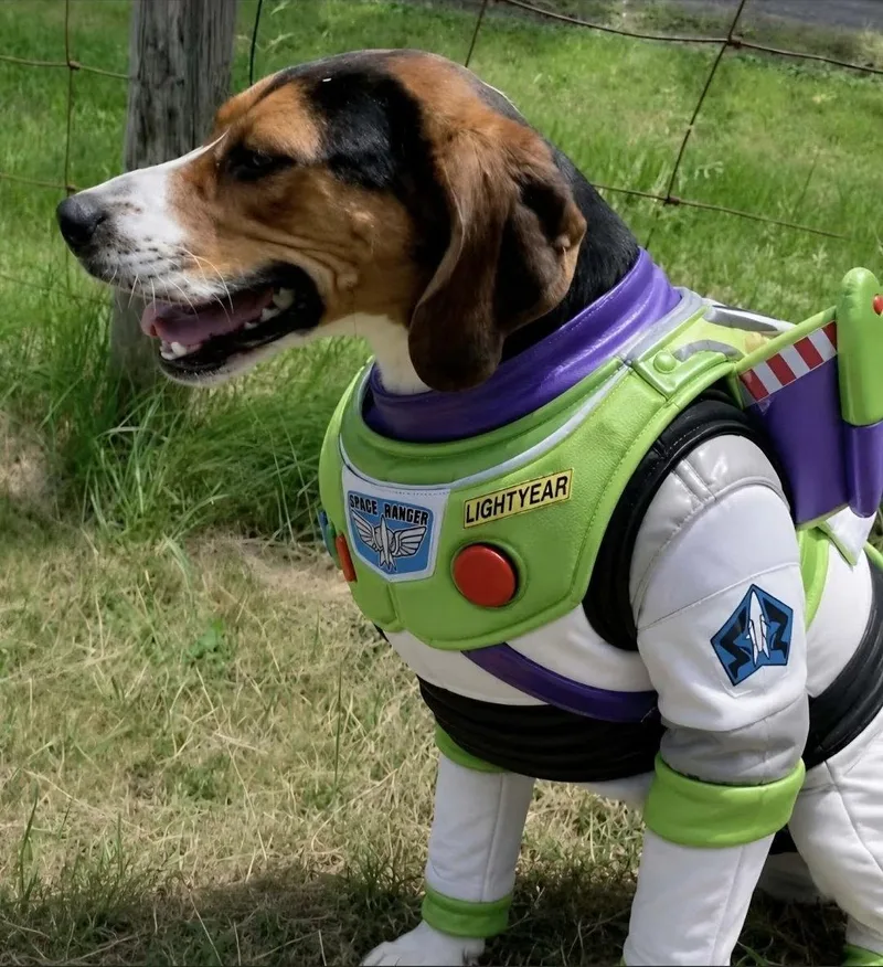 Buzz Lightyear thumbnail 3