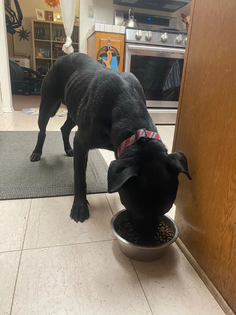 Midnight I thumbnail 2