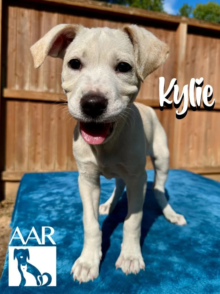 Kylie thumbnail 2