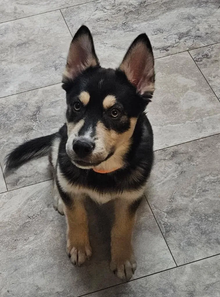 Cloud Dancer thumbnail 2