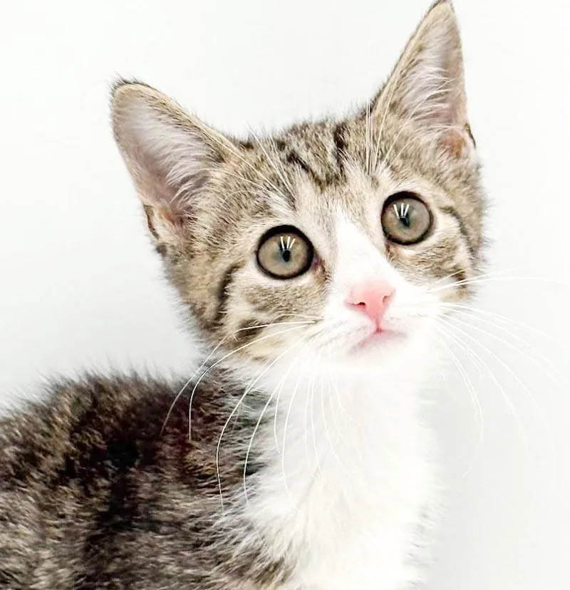 Lucy is our lil'