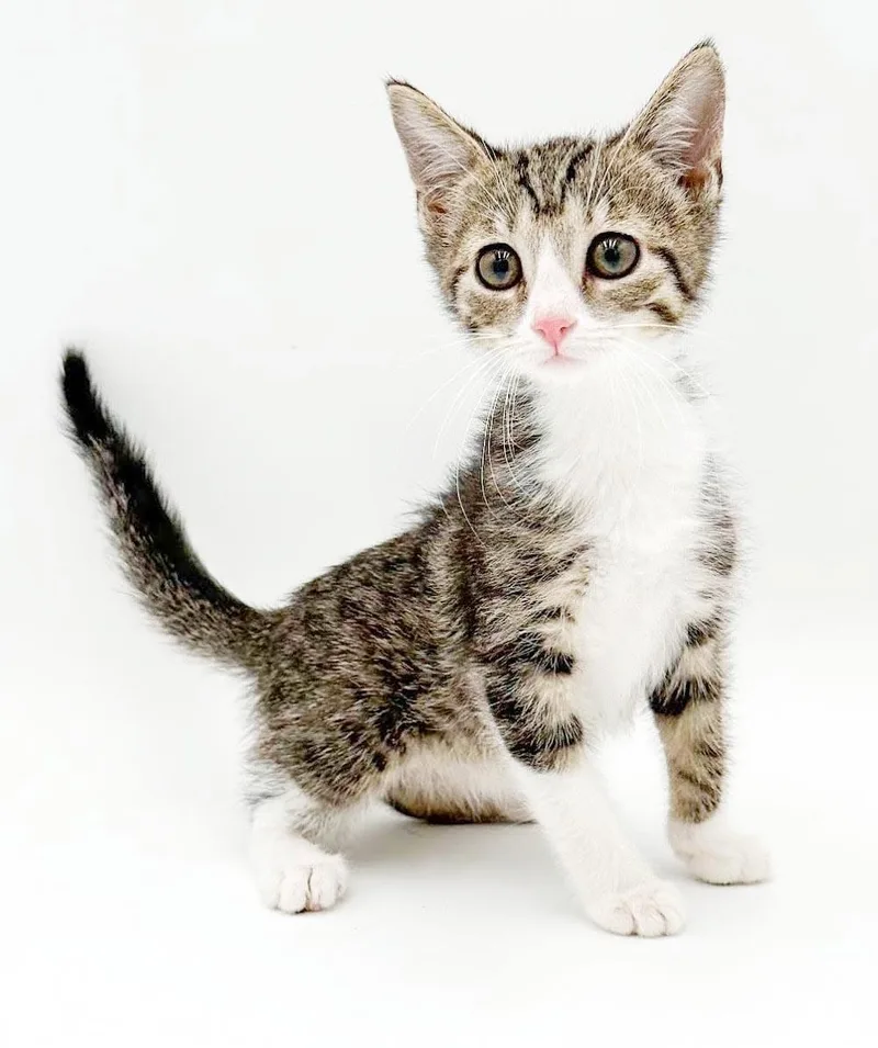 Lucy is our lil' thumbnail 2