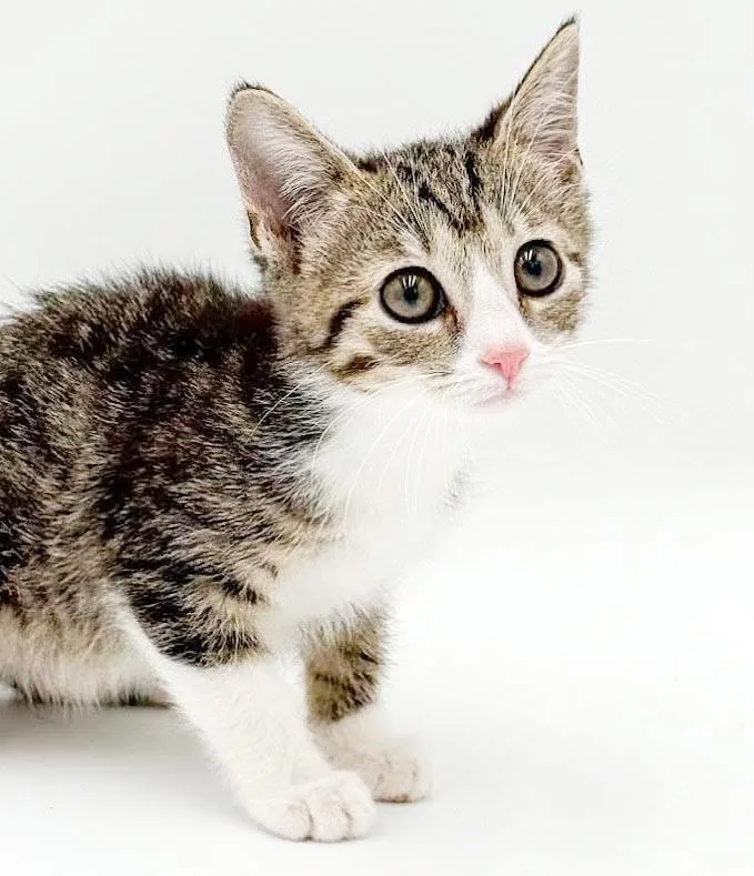 Lucy is our lil' thumbnail 3
